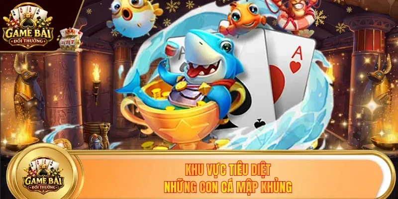 Khu vực tiêu diệt những con cá mập khủng
