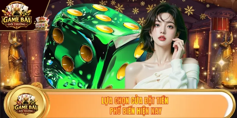 Lựa chọn cửa đặt tiền phổ biến hiện nay