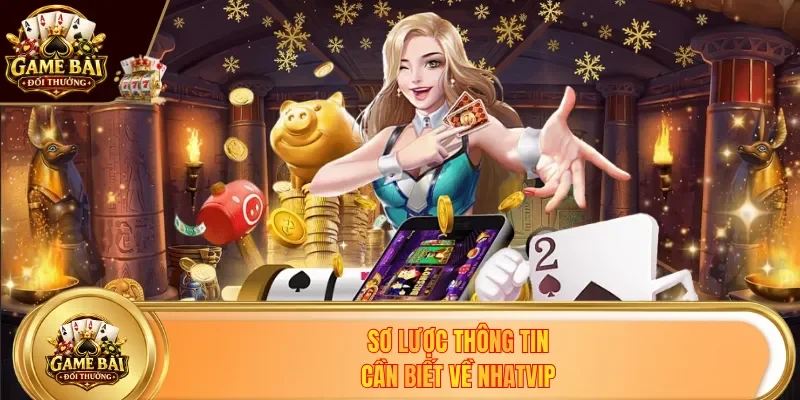Sơ lược thông tin cần biết về Nhatvip