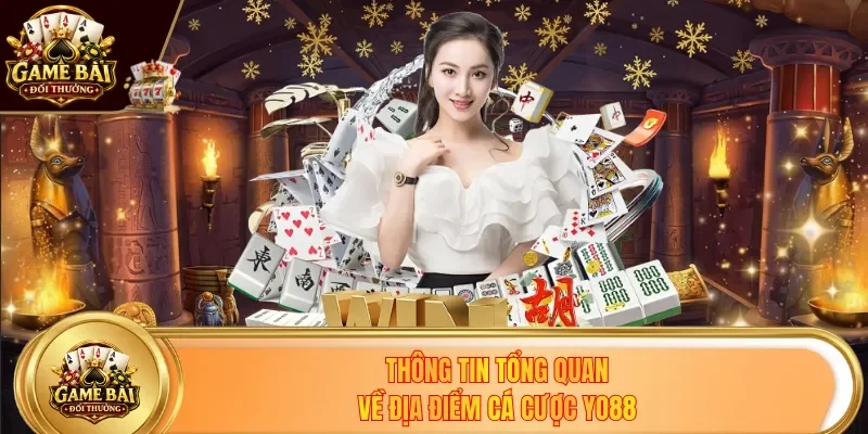 Thông tin tổng quan về địa điểm cá cược YO88